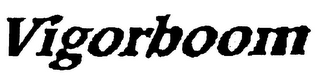 VIGORBOOM logo