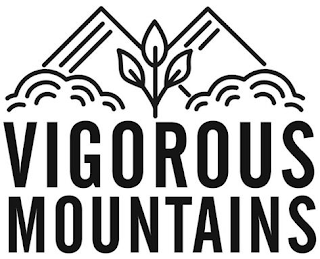 VIGOROUS MOUNTAINS logo