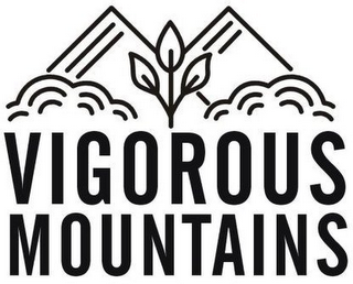VIGOROUS MOUNTAINS logo