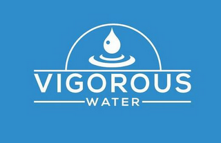 VIGOROUS WATER logo