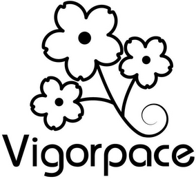 VIGORPACE logo