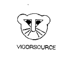 VIGORSOURCE logo