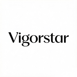 VIGORSTAR logo