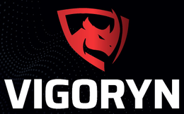 VIGORYN logo