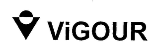 VIGOUR logo