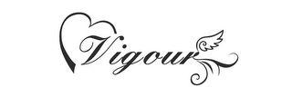 VIGOUR logo