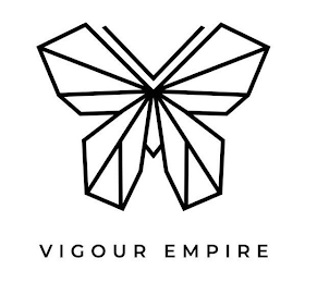 VIGOUR EMPIRE logo