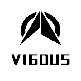 VIGOUS logo