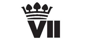 VII logo