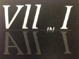 VII IN I ALL IN I logo