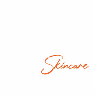 VIIBE SKINCARE logo