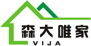 VIJA logo