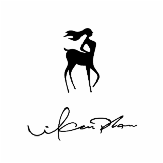 VIKEN PLAN logo