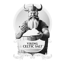 VIKING CELTIC SALT logo