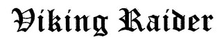 VIKING RAIDER logo