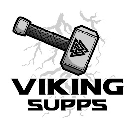 VIKING SUPPS logo