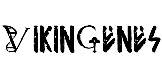 VIKINGENES logo