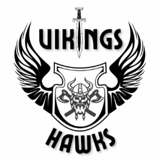 VIKINGS HAWKS logo