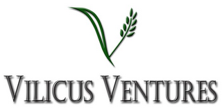 VILICUS VENTURES logo