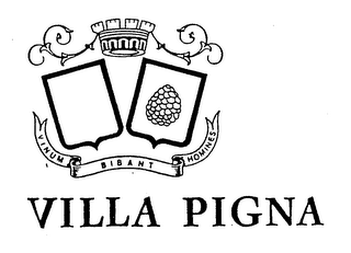 VILLA PIGNA VINUM BIBANT HOMINES logo