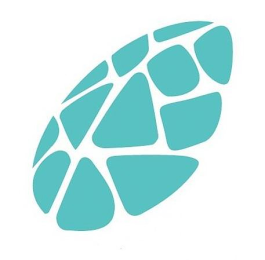 VILLA TARTARUGA logo