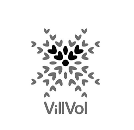 VILLVOL logo