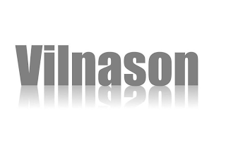 VILNASON logo