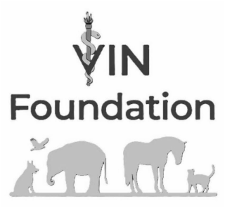 VIN FOUNDATION logo