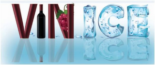 VIN ICE logo
