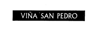 VINA SAN PEDRO logo