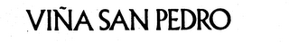VINA SAN PEDRO logo