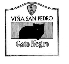 VINA SAN PEDRO GATO NEGRO logo