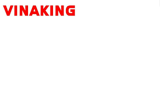 VINAKING logo