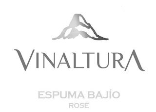 VINALTURA ESPUMA BAJÍO ROSÉ logo