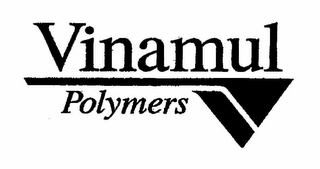 VINAMUL POLYMERS logo