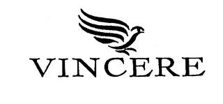 VINCERE logo