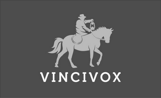 VINCIVOX logo