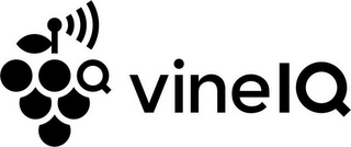 VINE IQ logo
