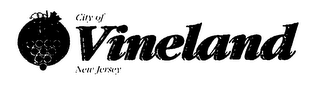 VINE LAND logo