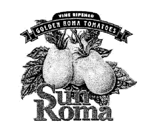 VINE RIPENED GOLDEN ROMA TOMATOES SUNROMA logo