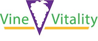 VINE V VITALITY logo