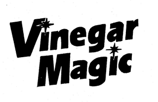 VINEGAR MAGIC logo
