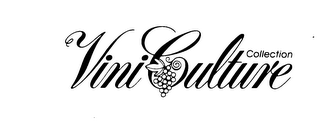 VINI CULTURE COLLECTION logo