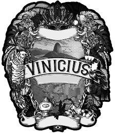VINICIUS logo