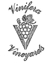 VINIFERA VINEYARDS logo