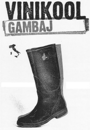 VINIKOOL GAMBAJ logo