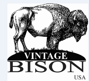 VINTAGE BISON USA logo
