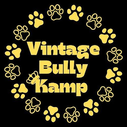 VINTAGE BULLY KAMP logo