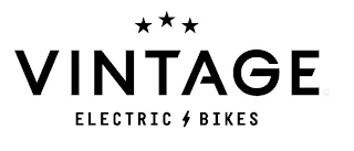 VINTAGE ELECTRIC BIKES logo
