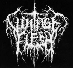 VINTAGE FLESH logo